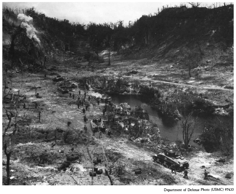 black and white photo of burnt and destroyed valley